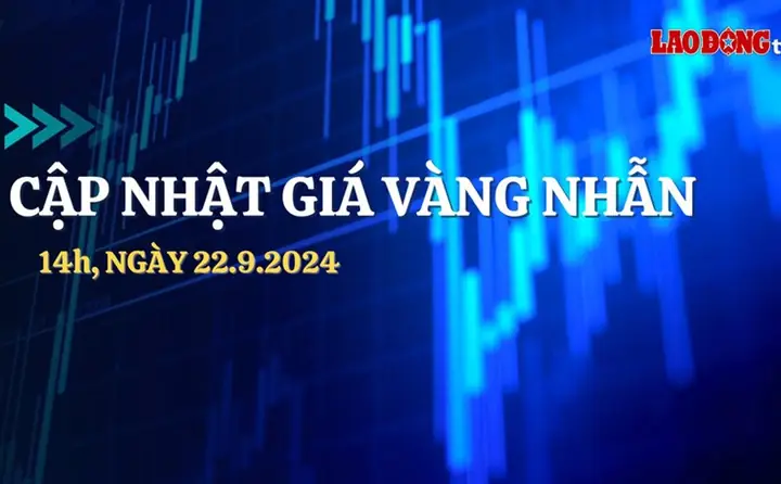 Cập Nhật Giá Vàng Theo Giờ