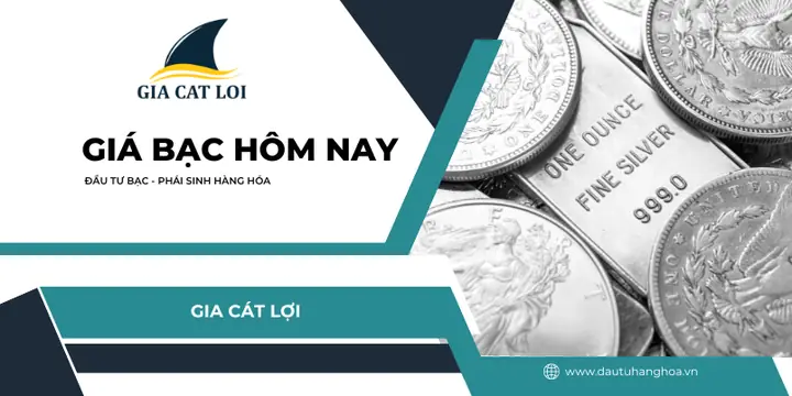 Giá Bạc Hôm Nay 24h: Bảng Giá Cập Nhật Liên Tục Cho Các Loại Bạc Phổ Biến