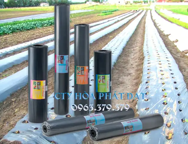Giá Bảo Vệ Nông Nghiệp: Bảng Giá Màng Phủ, Yếu Tố Ảnh Hưởng & Cách Tính Chi Phí