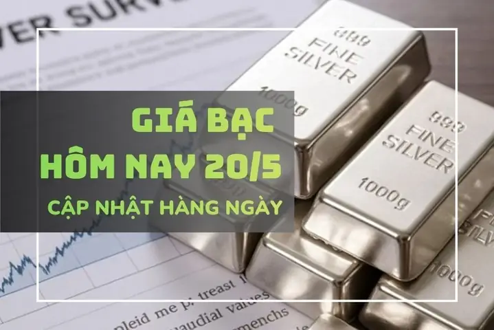 Giá Bạc Sbj Hôm Nay: Bảng Giá Cập Nhật, Cách Đọc Và Yếu Tố Ảnh Hưởng