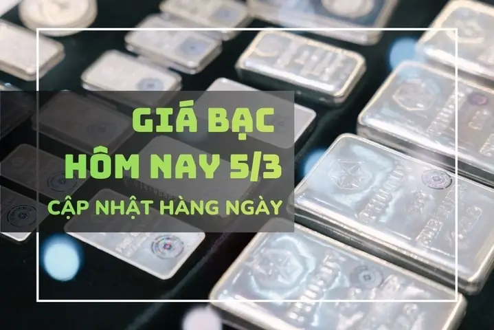 Giá Bạc Hôm Nay: Bảng Giá Cập Nhật Liên Tục Cho Bạc 999, Bạc Miếng & Bạc Thỏi Tại Việt Nam