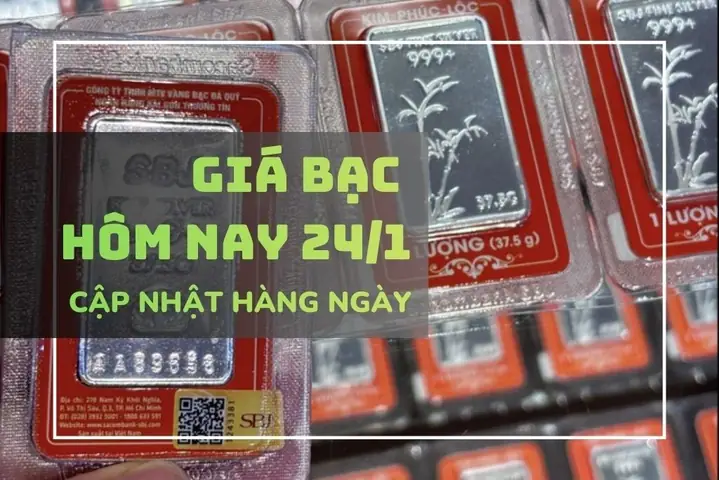 Giá Bạc Trong Nước Hôm Nay: Bảng Giá Cập Nhật Liên Tục Và Hướng Dẫn Theo Dõi