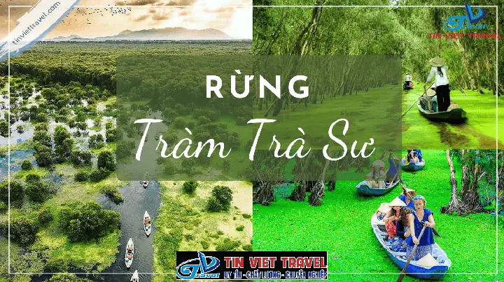 Giá Ngọc Thẩm Ở Trà Vinh