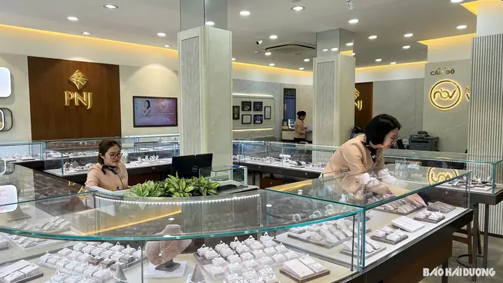 Giá Sjc Ở Hải Dương