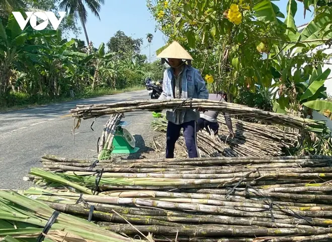 Giá Sjc Ở Hậu Giang