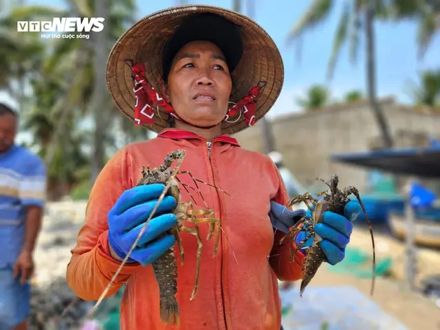 Giá Sjc Ở Phú Yên Giá Sjc Ở Phú Yên
