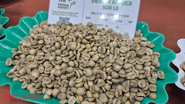 Giá Sjc Ở Sơn La Giá Sjc Ở Sơn La