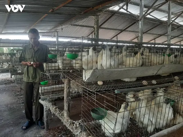 Giá Sjc Ở Tiền Giang
