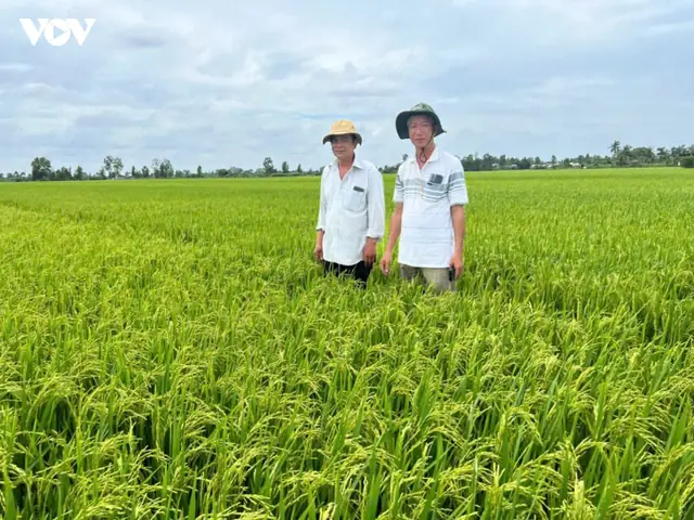 Giá Sjc Ở Tiền Giang