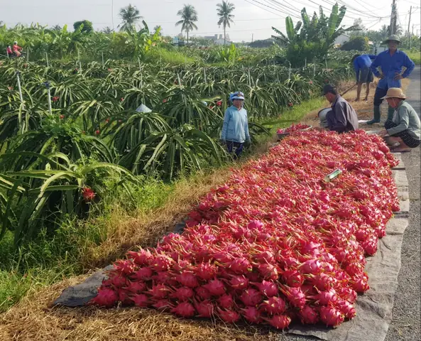 Giá Sjc Ở Tiền Giang
