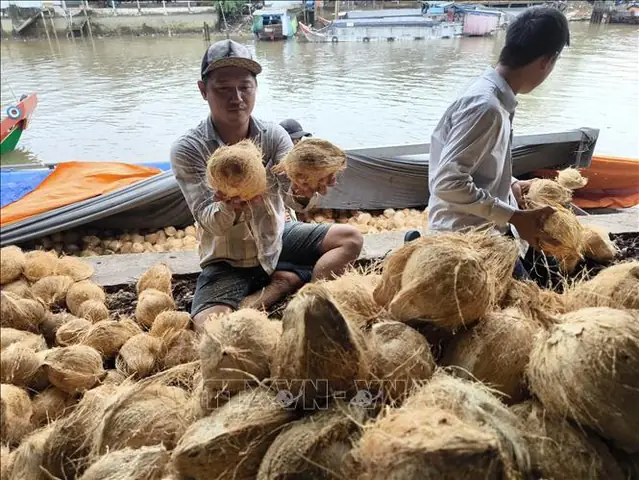 Giá Sjc Ở Vĩnh Long Giá Sjc Ở Vĩnh Long