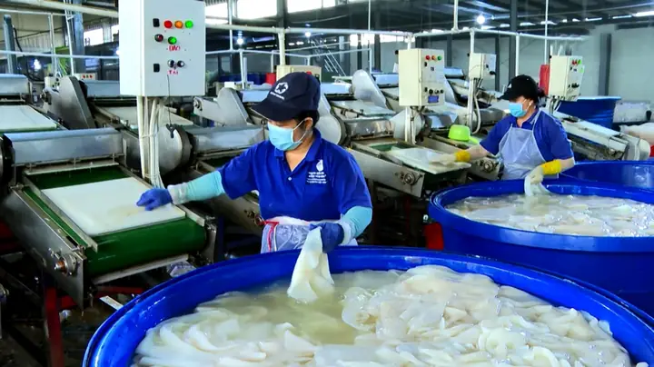 Giá Sjc Ở Vĩnh Long Giá Sjc Ở Vĩnh Long