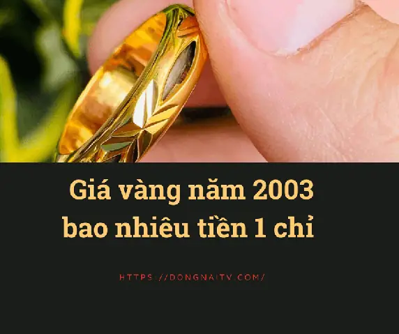 Giá Vàng 2003 Bao Nhiêu Tiền 1 Chỉ