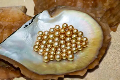 Giá Vàng 24k Ở Khánh Hòa Giá Vàng 24k Ở Khánh Hòa