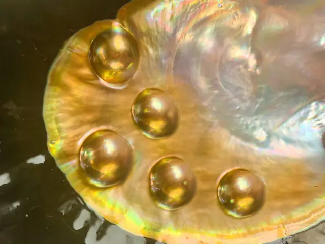Giá Vàng 24k Ở Khánh Hòa Giá Vàng 24k Ở Khánh Hòa
