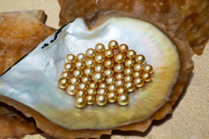 Giá Vàng 24k Ở Khánh Hòa Giá Vàng 24k Ở Khánh Hòa