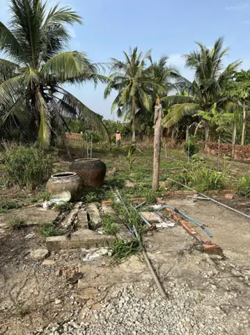 Giá Vàng 950 Ở Tiền Giang