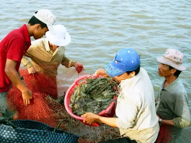 Giá Vàng 99 Ở Bạc Liêu
