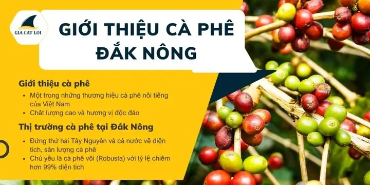 Giá Vàng 99 Ở Đắk Nông
