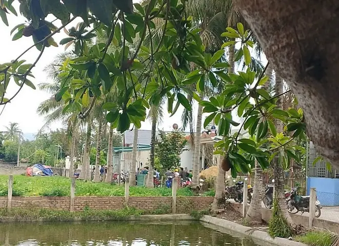 Giá Vàng 99 Ở Điện Biên