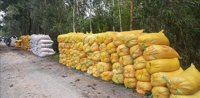 Giá Vàng 99 Ở Đồng Tháp Giá Vàng 99 Ở Đồng Tháp