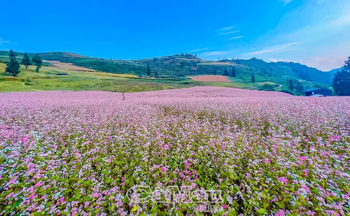 Giá Vàng 99 Ở Hà Giang Giá Vàng 99 Ở Hà Giang