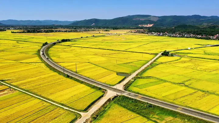 Giá Vàng 99 Ở Quảng Ngãi