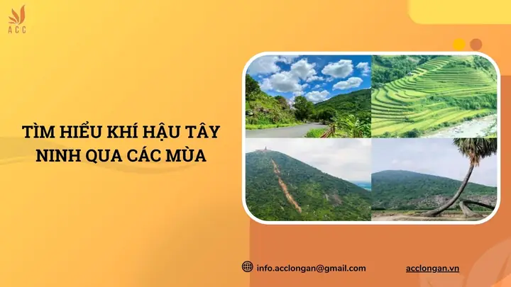 Giá Vàng 99 Ở Tây Ninh