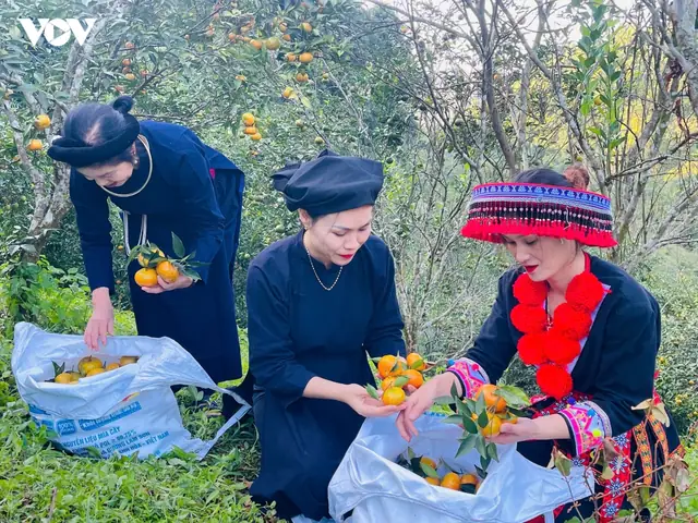 Giá Vàng 99 Ở Thái Nguyên Giá Vàng 99 Ở Thái Nguyên