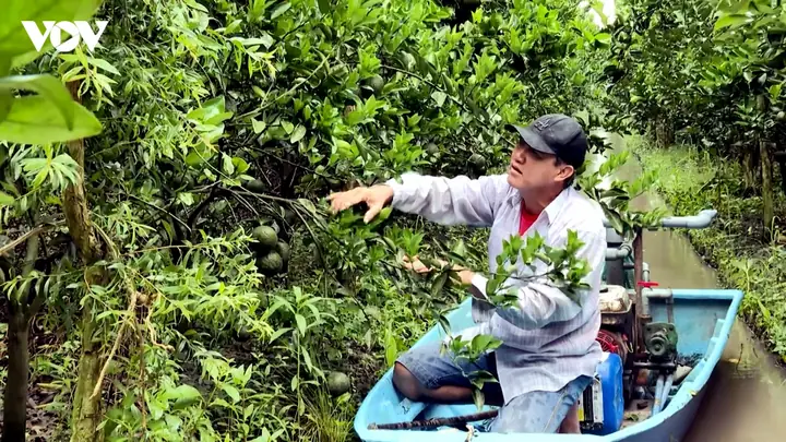 Giá Vàng 99 Ở Trà Vinh
