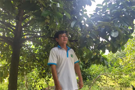 Giá Vàng 999 Ở Hậu Giang