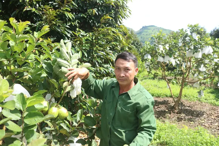 Giá Vàng 999 Ở Kon Tum