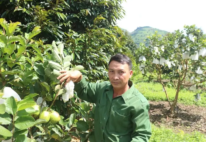 Giá Vàng 999 Ở Kon Tum