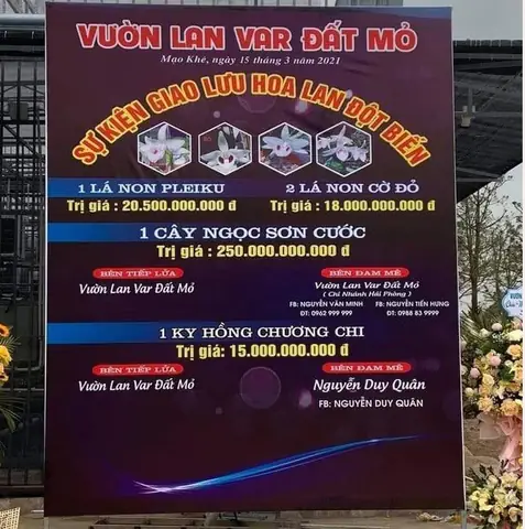 Giá Vàng 999 Ở Quảng Ninh