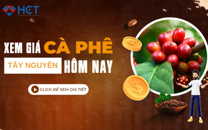 Giá Vàng 999 Ở Tây Nguyên