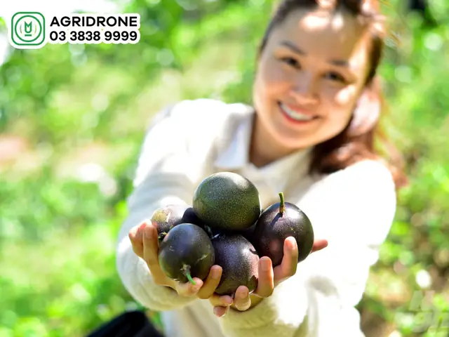 Giá Vàng 9999 Hôm Nay Tại Đăk Nông