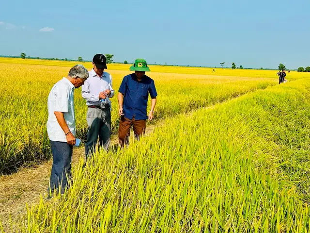 Giá Vàng 9999 Ở Bình Thuận