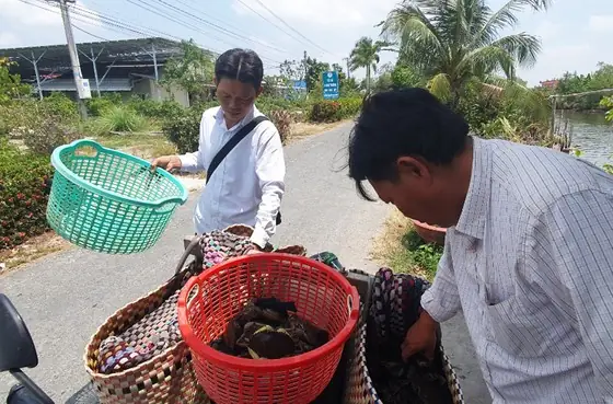 Giá Vàng 9999 Ở Kiên Giang