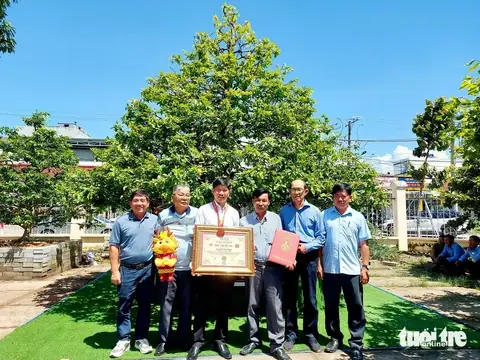 Giá Vàng 9999 Ở Kiên Giang