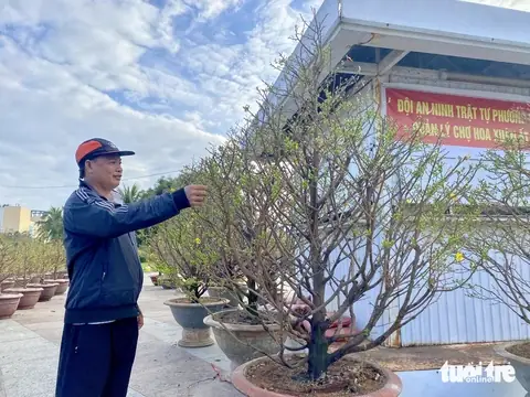 Giá Vàng A Có Thủ Đức