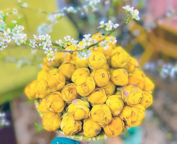 Giá Vàng Bắc Kạn