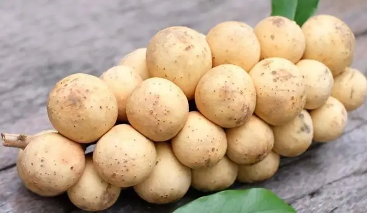 Giá Vàng Bòn Huế