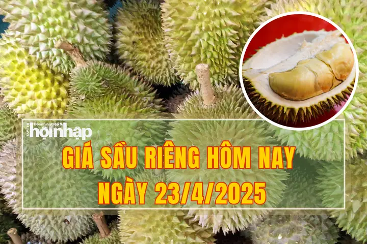 Giá Vàng Đông Nam Bộ