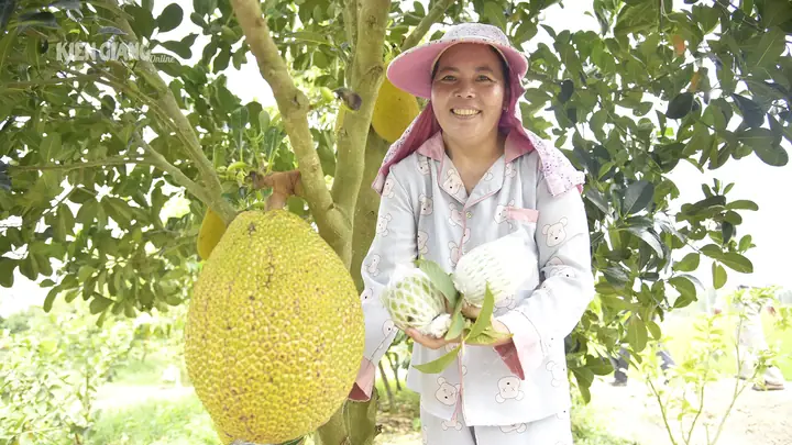 Giá Vàng Kiên Giang