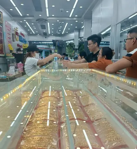 Giá Vàng Kim Việt Tam Kỳ Hôm Nay