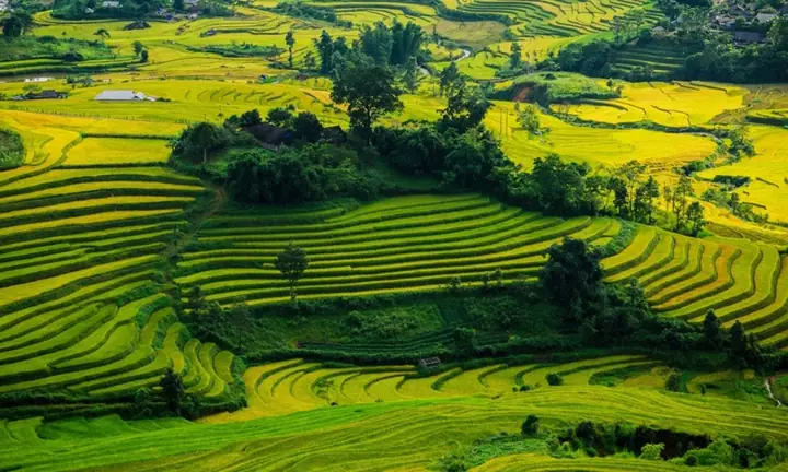 Giá Vàng Lai Châu