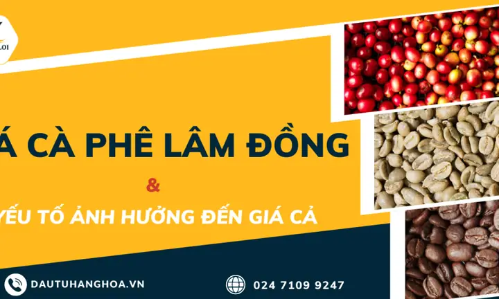 Giá Vàng Lâm Đồng Hôm Nay