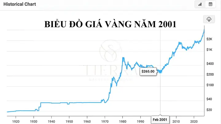 Giá Vàng Năm 2001 Bao Tiền 1 Chỉ Giá Vàng Năm 2001 Bao Tiền 1 Chỉ