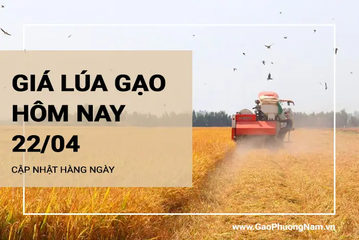 Giá Vàng Ngân Hàng Nông Nghiệp Hôm Nay