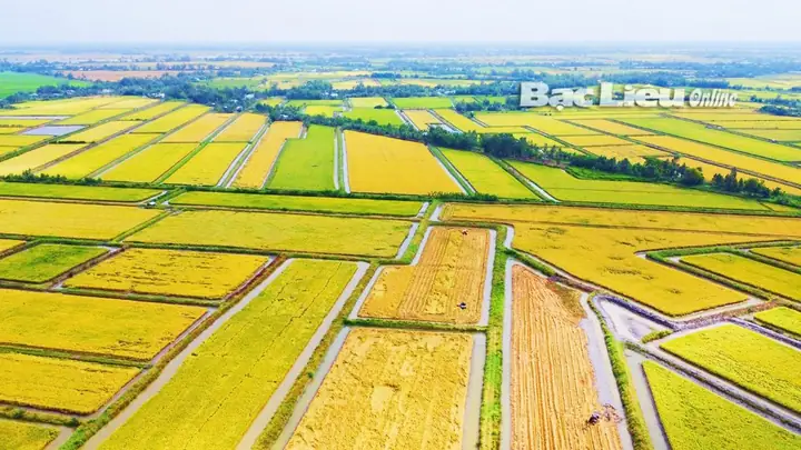 Giá Vàng Phước Sanh Bạc Liêu Giá Vàng Phước Sanh Bạc Liêu